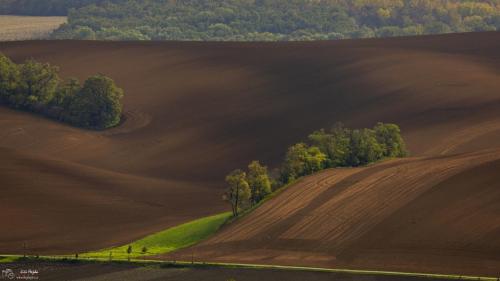 Šardický remízek - Moravské Toskánsko